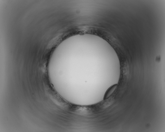 X0000111790611200908131414