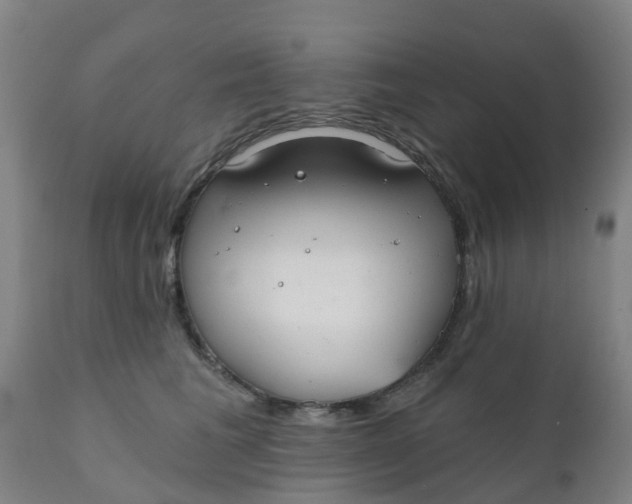 X0000111790613200908131414