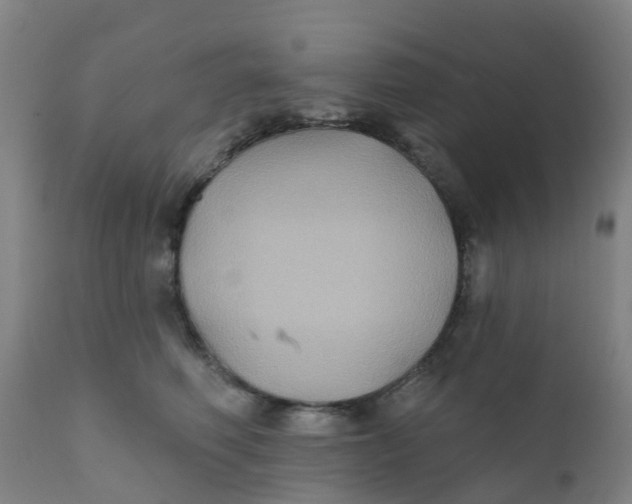 X0000111790614200908131414