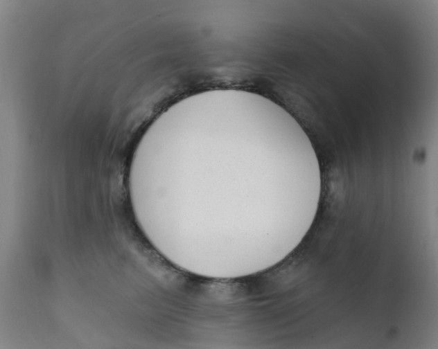 X0000111790615200908131414