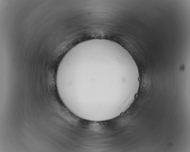 X0000111790616200908131414