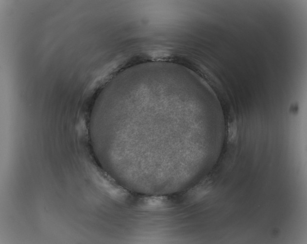 X0000111790618200908131414