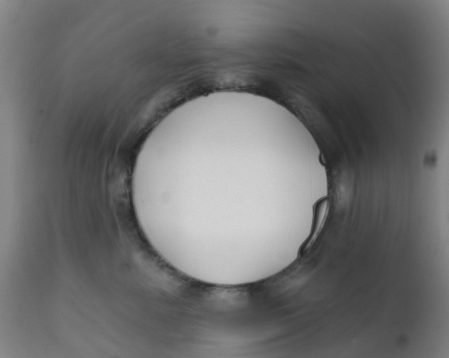 X0000111790619200908131414