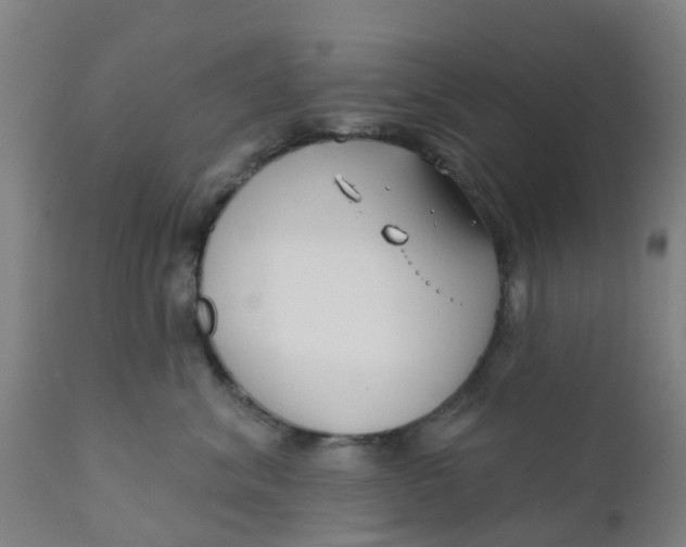 X0000111790620200908131414