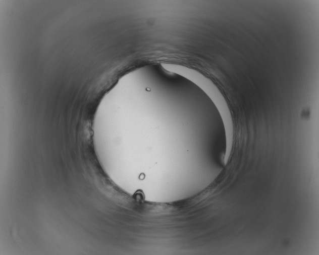 X0000111790621200908131414