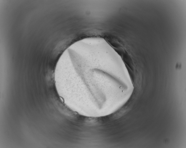 X0000111790624200908131413