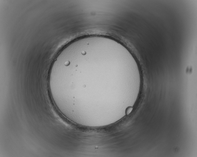 X0000111790625200908131413