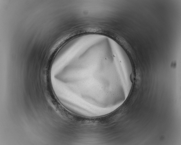 X0000111790626200908131413