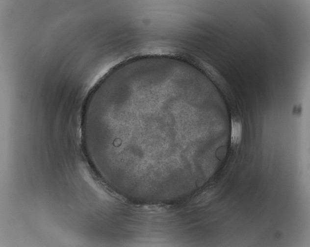 X0000111790627200908131413