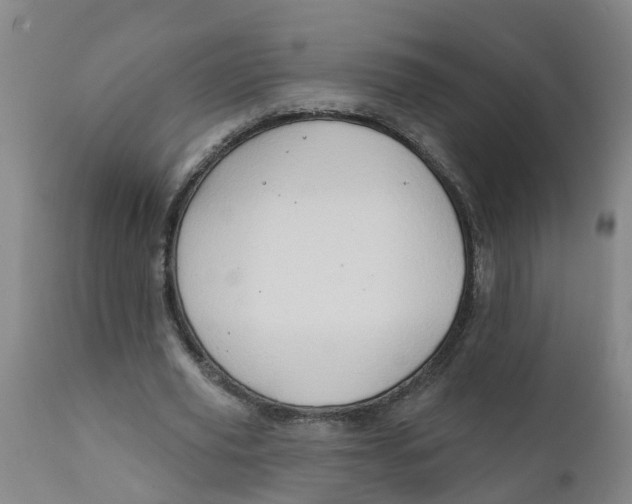 X0000111790629200908131413