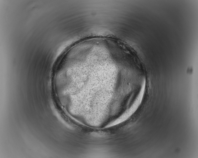 X0000111790630200908131413