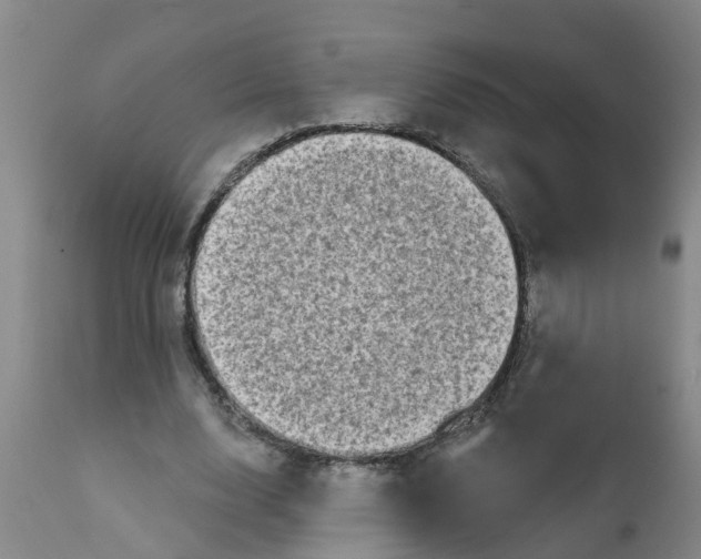 X0000111790632200908131413