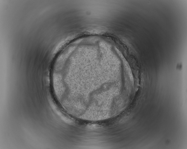 X0000111790634200908131413