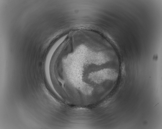 X0000111790637200908131413