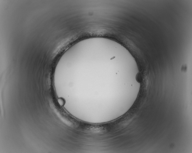 X0000111790638200908131413