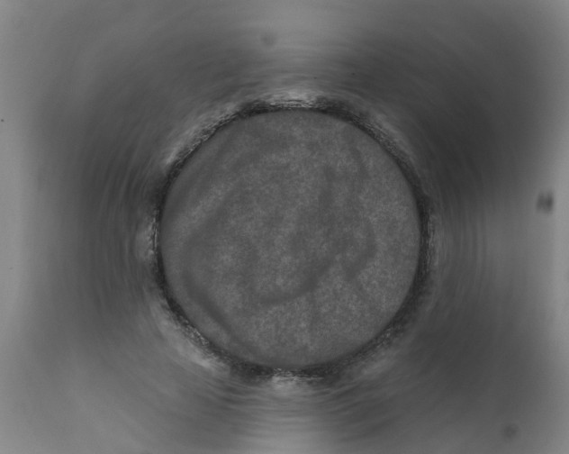 X0000111790641200908131413