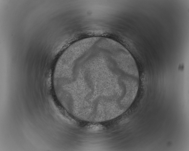 X0000111790642200908131413