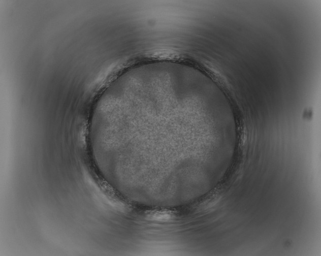 X0000111790643200908131413