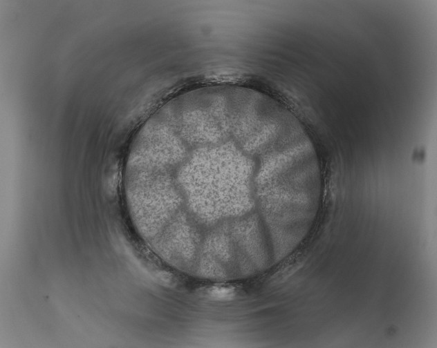 X0000111790647200908131413