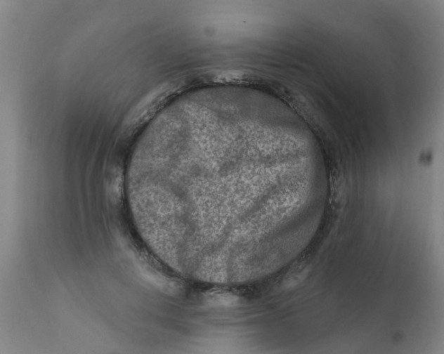 X0000111790648200908131413