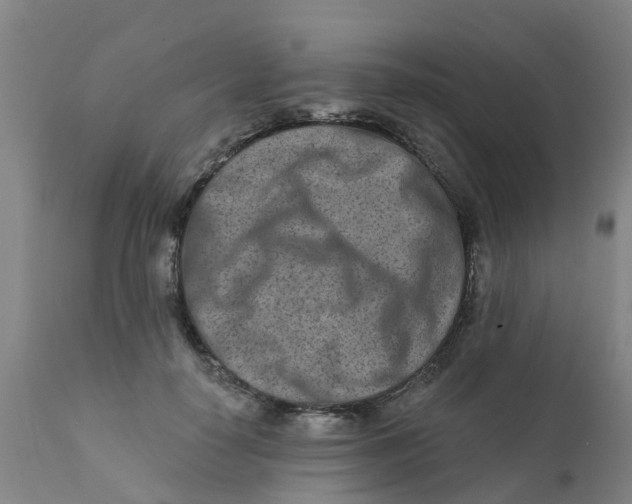 X0000111790650200908131413