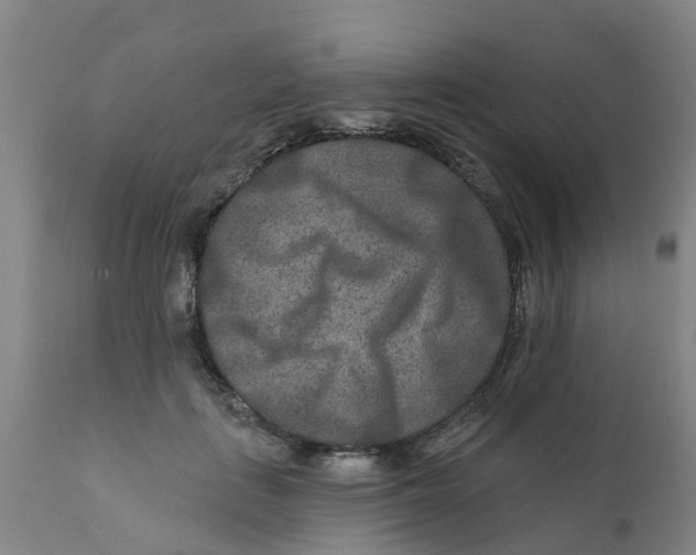 X0000111790651200908131413