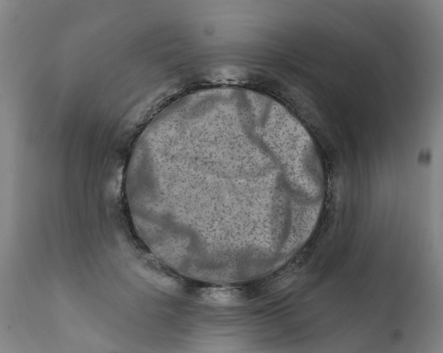 X0000111790652200908131413