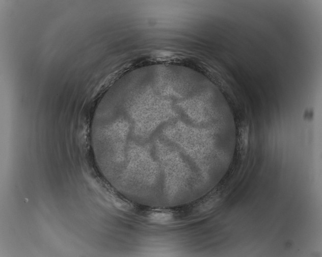 X0000111790653200908131413