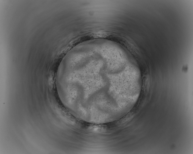 X0000111790655200908131413