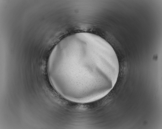 X0000111790656200908131413