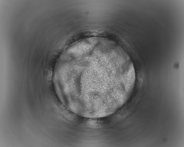 X0000111790657200908131413