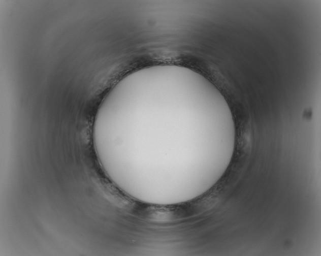 X0000111790658200908131413