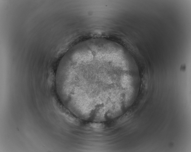 X0000111790659200908131413