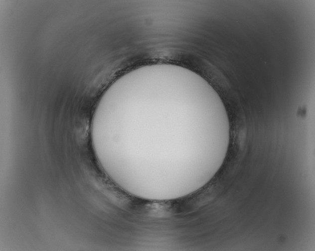 X0000111790660200908131413