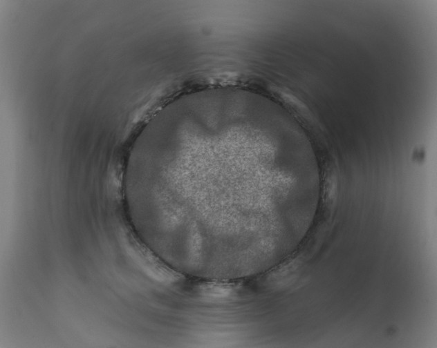 X0000111790661200908131413