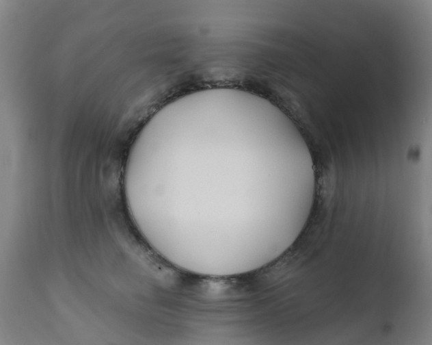 X0000111790662200908131413