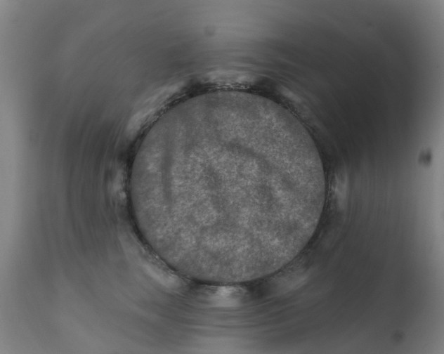 X0000111790663200908131413