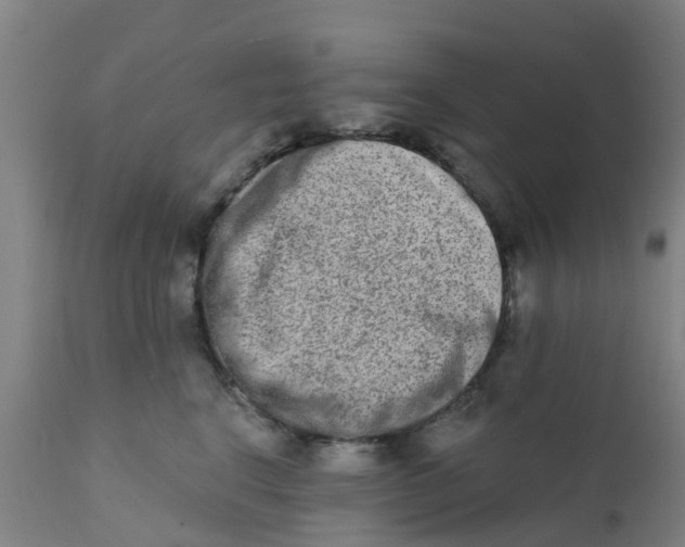 X0000111790664200908131413