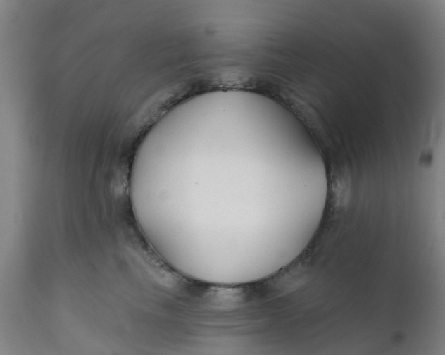 X0000111790665200908131413