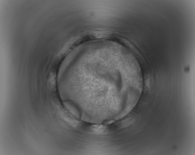 X0000111790667200908131413