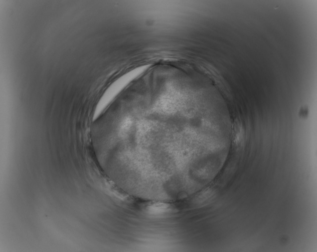 X0000111790669200908131413