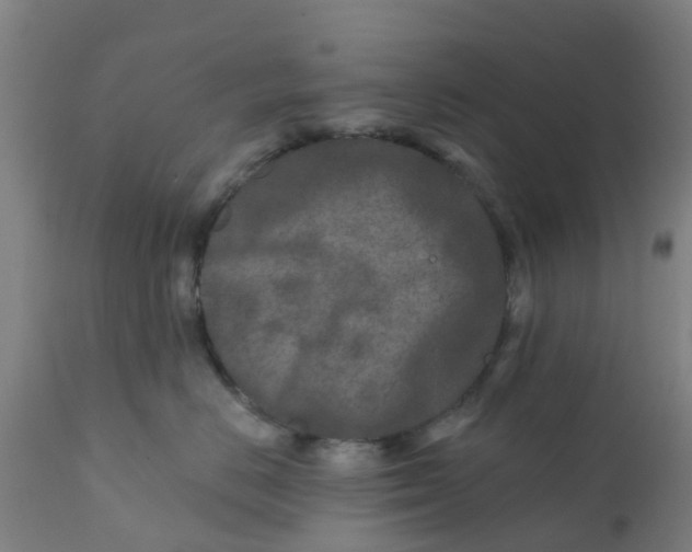 X0000111790670200908131413