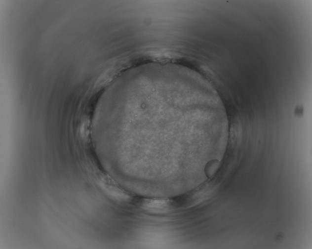 X0000111790671200908131413