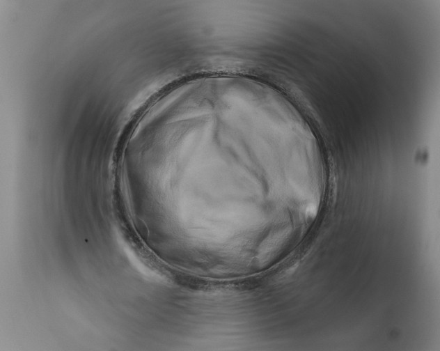 X0000111790674200908131413