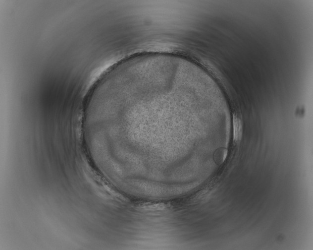 X0000111790675200908131413