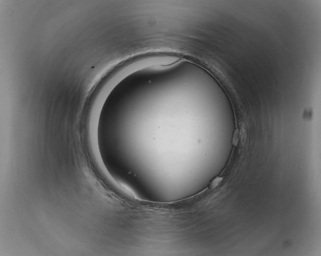 X0000111790676200908131413