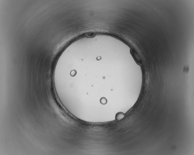 X0000111790677200908131413