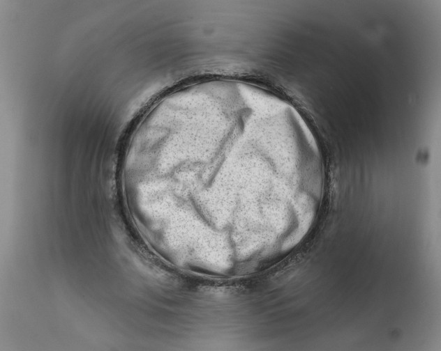 X0000111790679200908131413