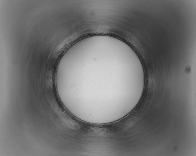 X0000111790681200908131413