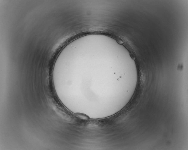 X0000111790684200908131413